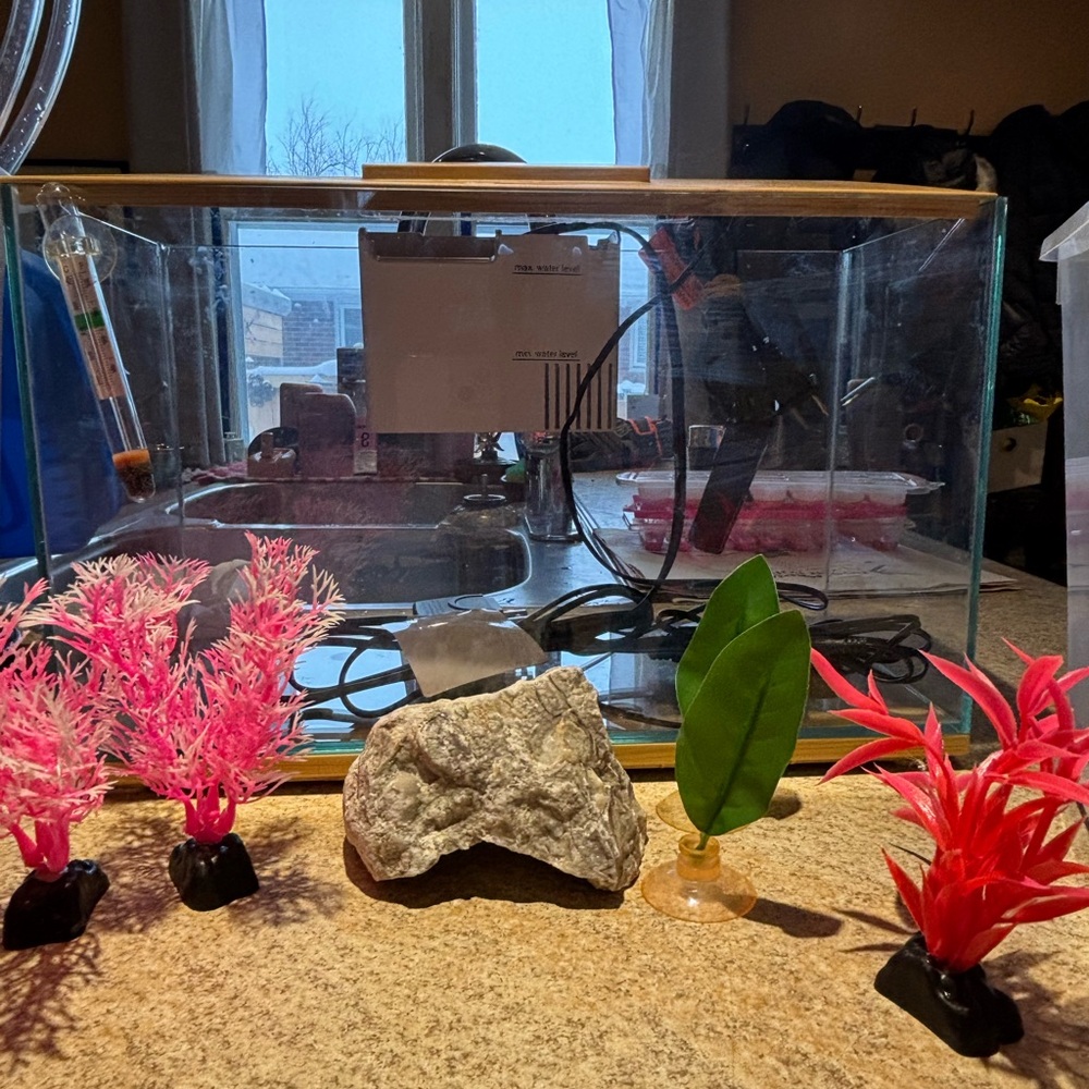 Glass Betta Fish Starting Kit - Picture 3 of 7